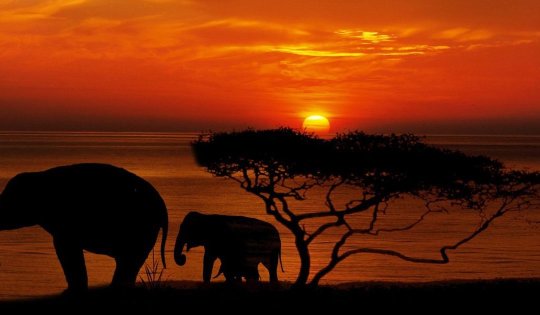 Viajes a África a medida y en privado | Beat Travel