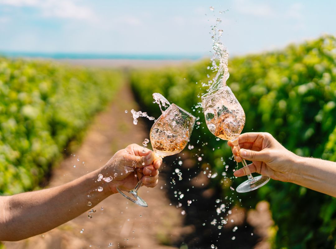 Degustación de vinos en Korčula